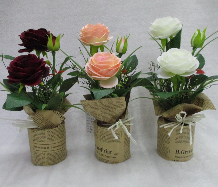 27#potted Rose