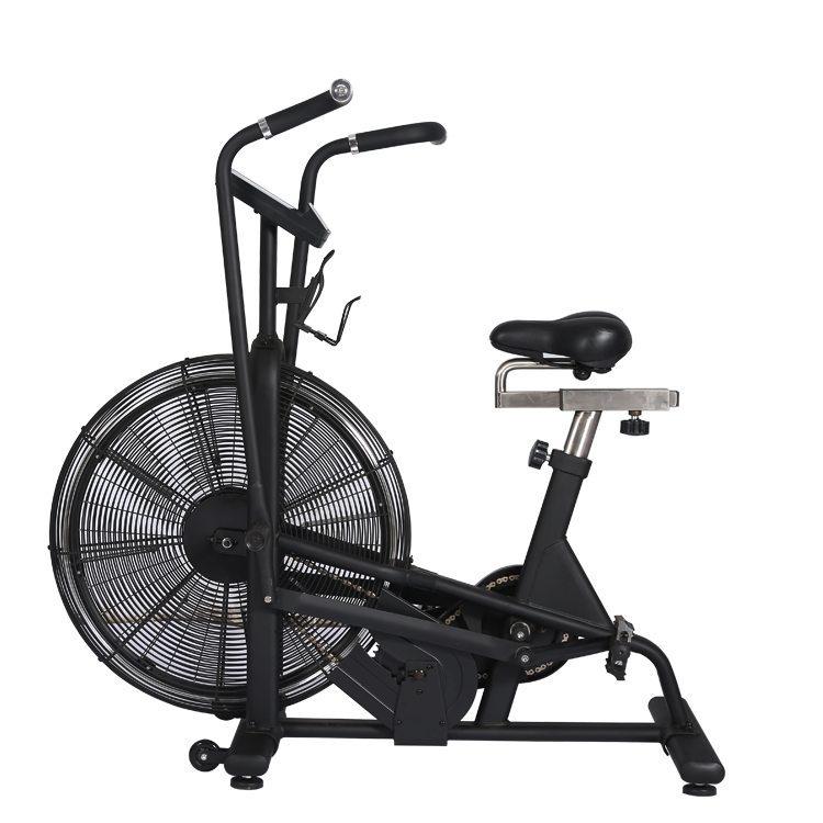 Assault air bike