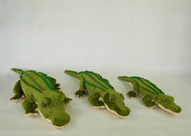 Alligator/Crocodile
