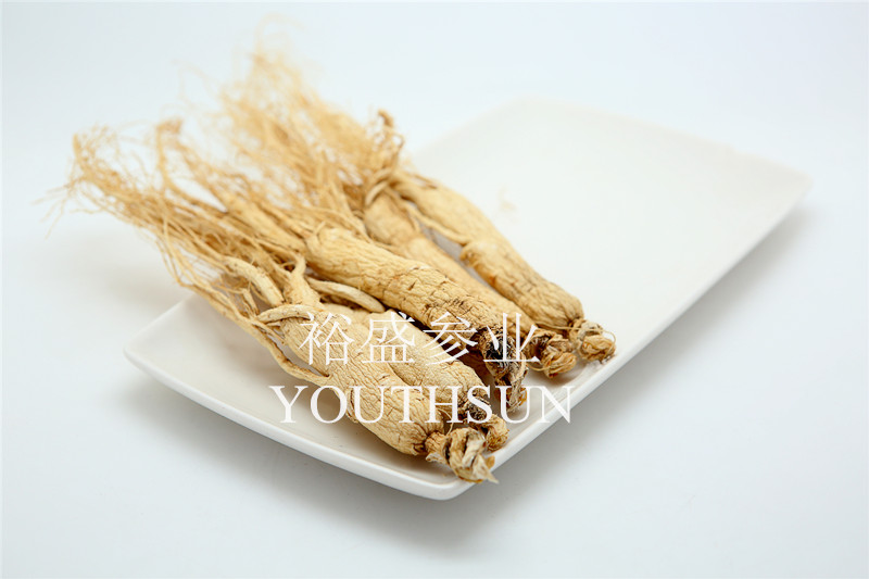White Ginseng Entire Roots