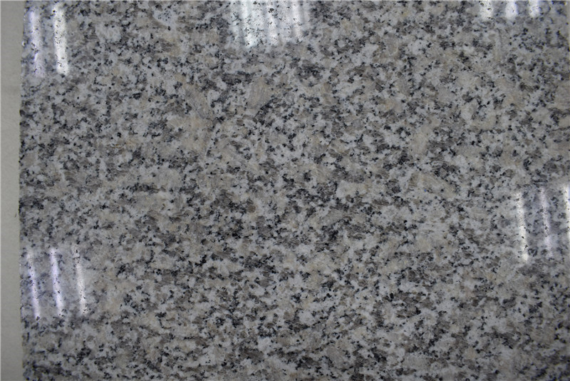 Bianco Sardo Grey Granite