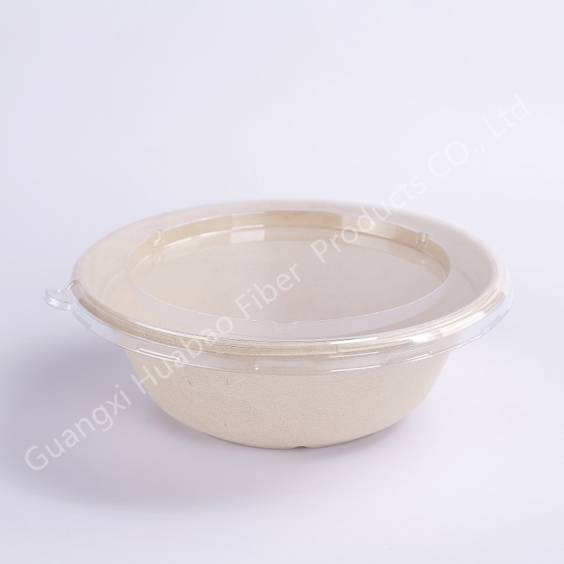 Disposable Compostable Sugarcane Bagasse Bowl Salad Bowl