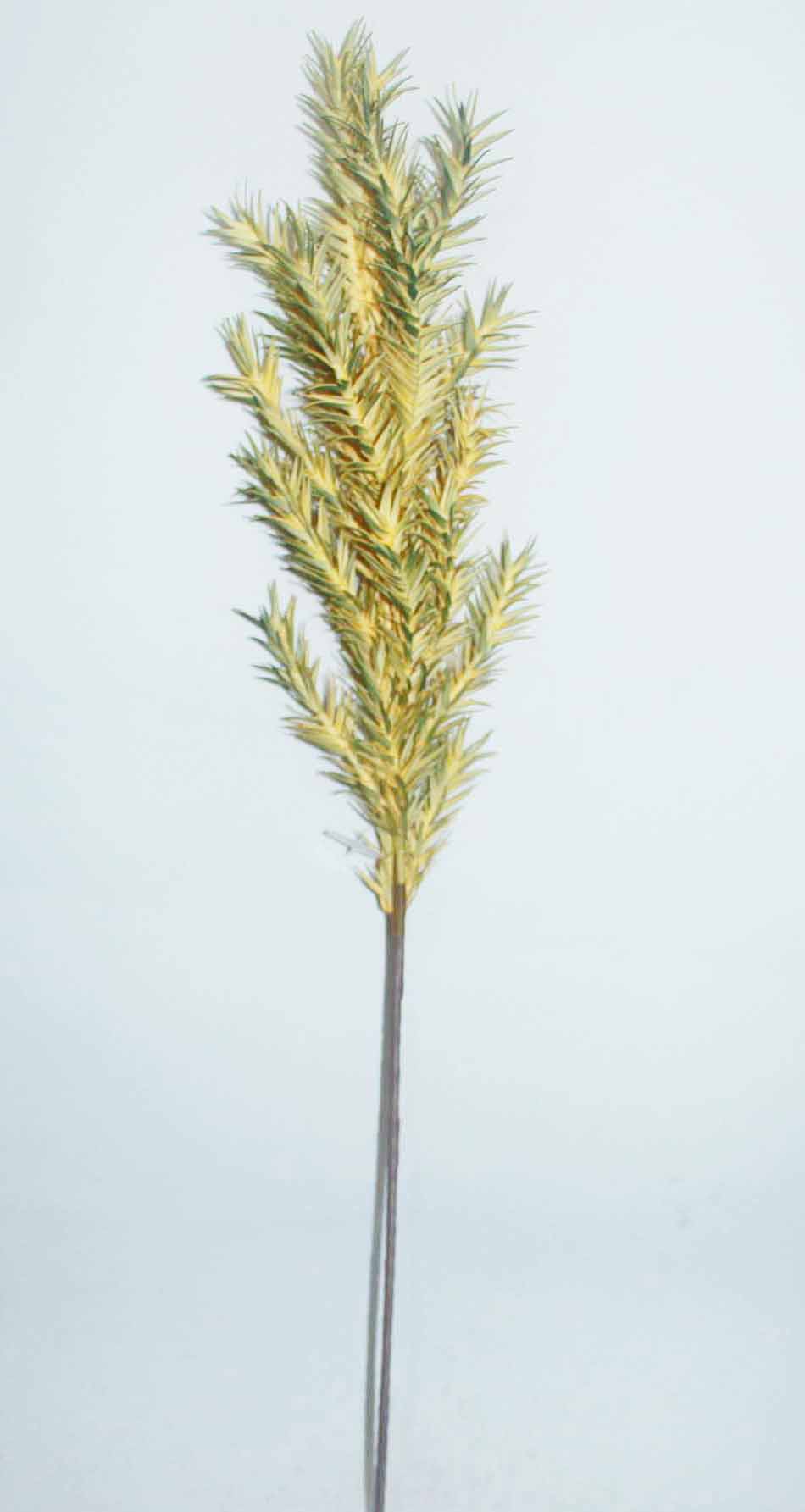 Artificial flower