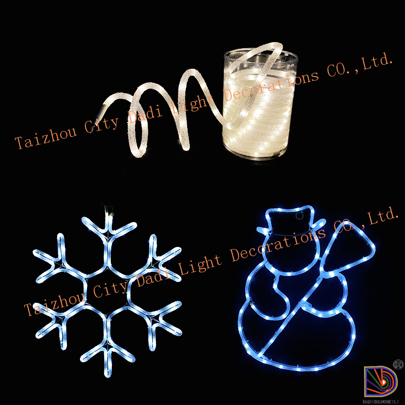 Crystal diamond rope light