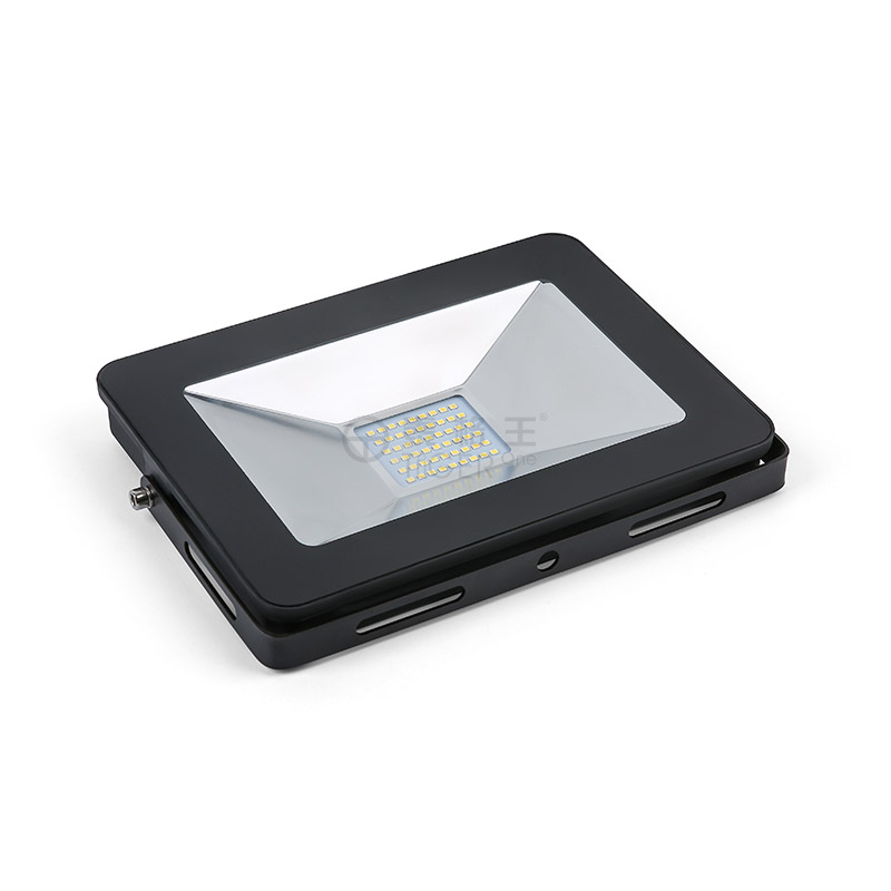 Flood Light-F50