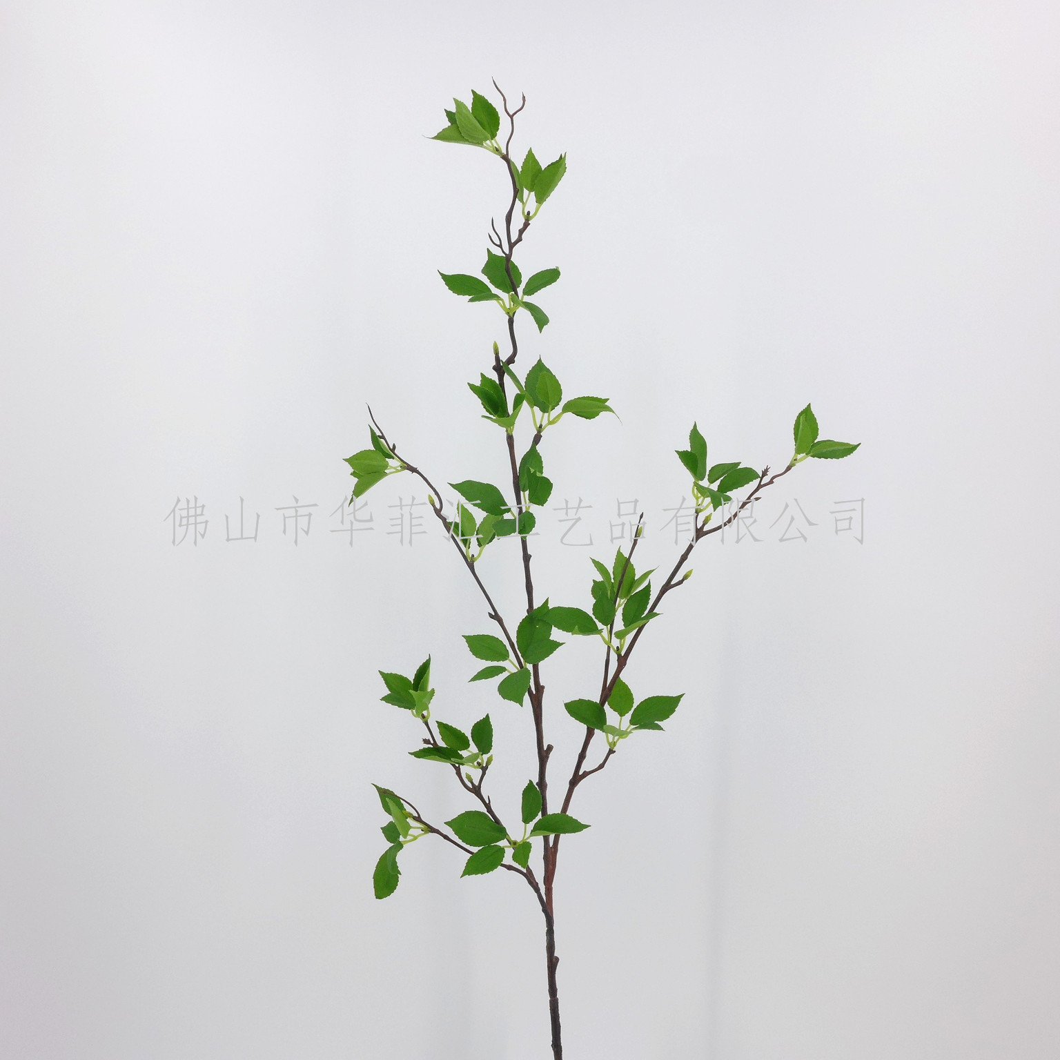 119cm Evergreen