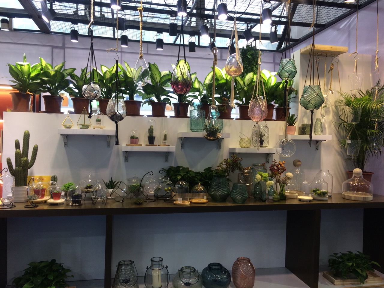 Shanxi Zhongyi International Trade Co., Ltd. – glass cups 2