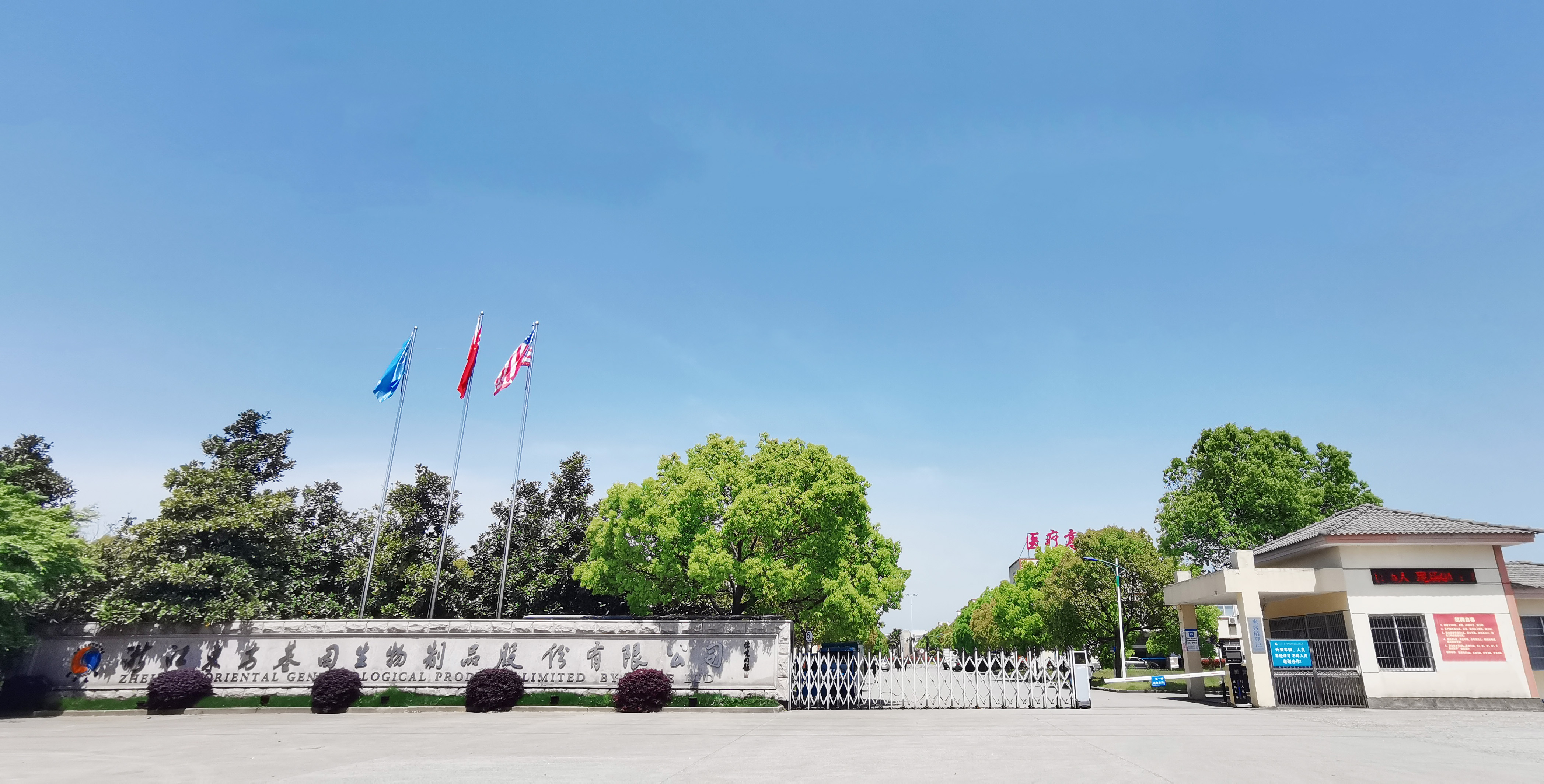 Zhejiang Oriental Gene Biological Products Co., Ltd. – Other medical devices 1