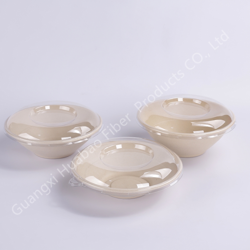 Compostable Sugarcane Bagasse Bowl Salad Bowl
