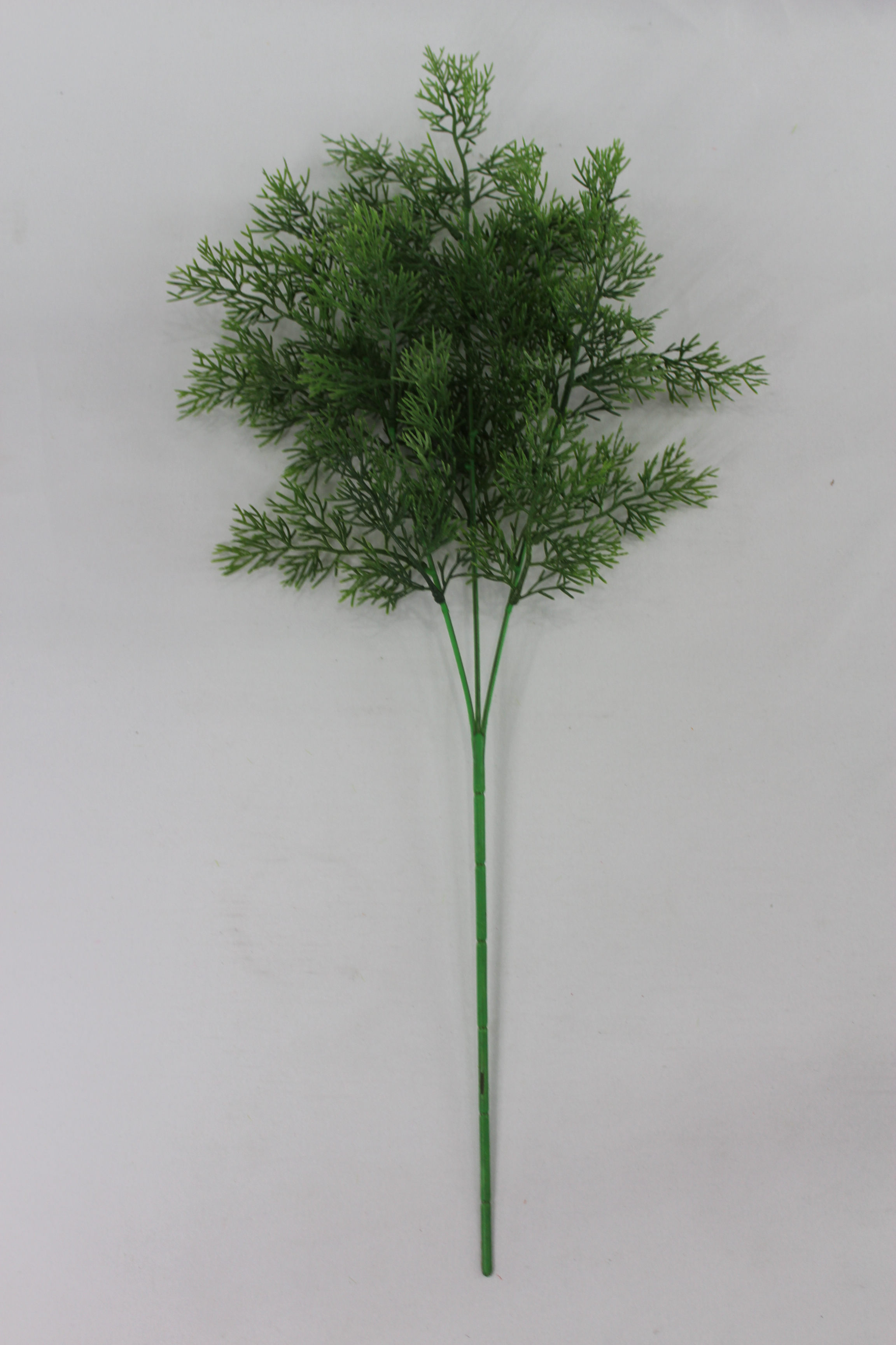 TWIG