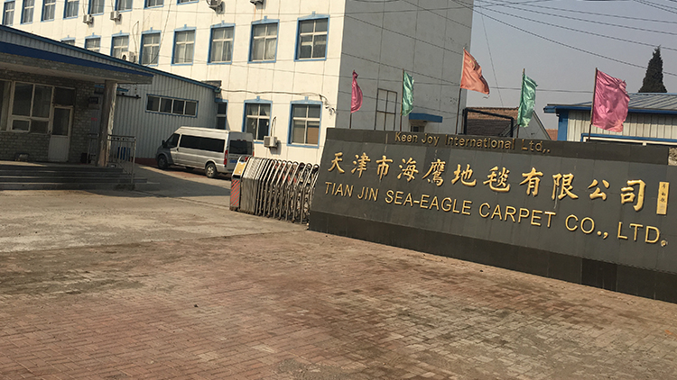 Tianjin Haiying Carpet Co., Ltd. – Shaggy carpets 1