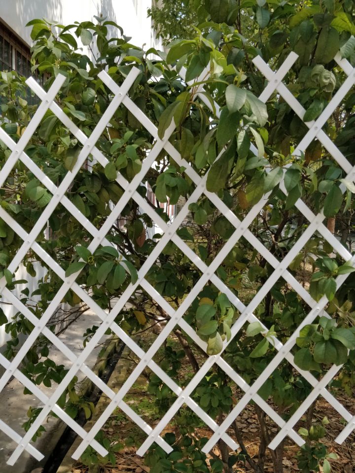 Plastic Trellis Plastic Fence