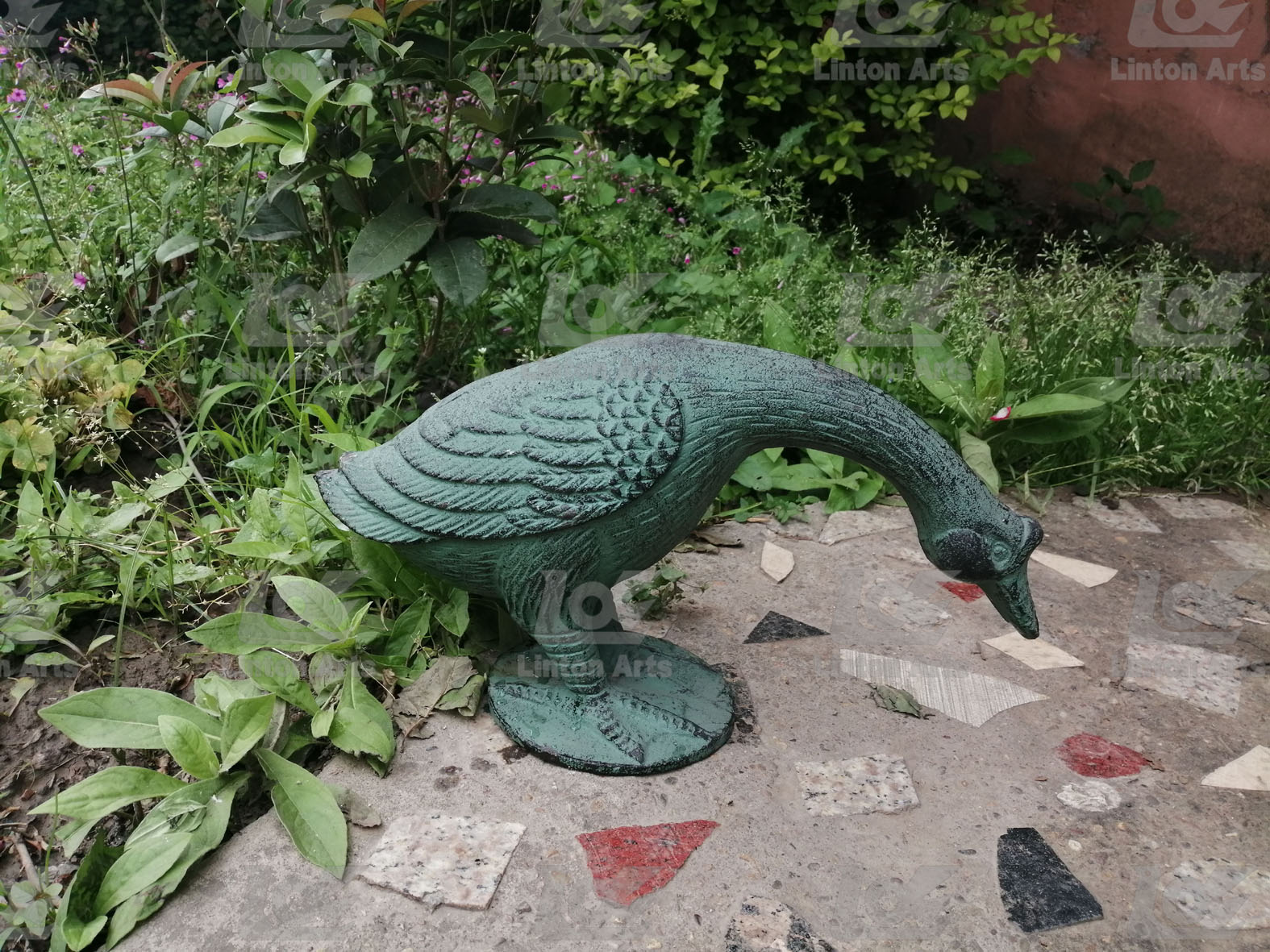 Duck animal