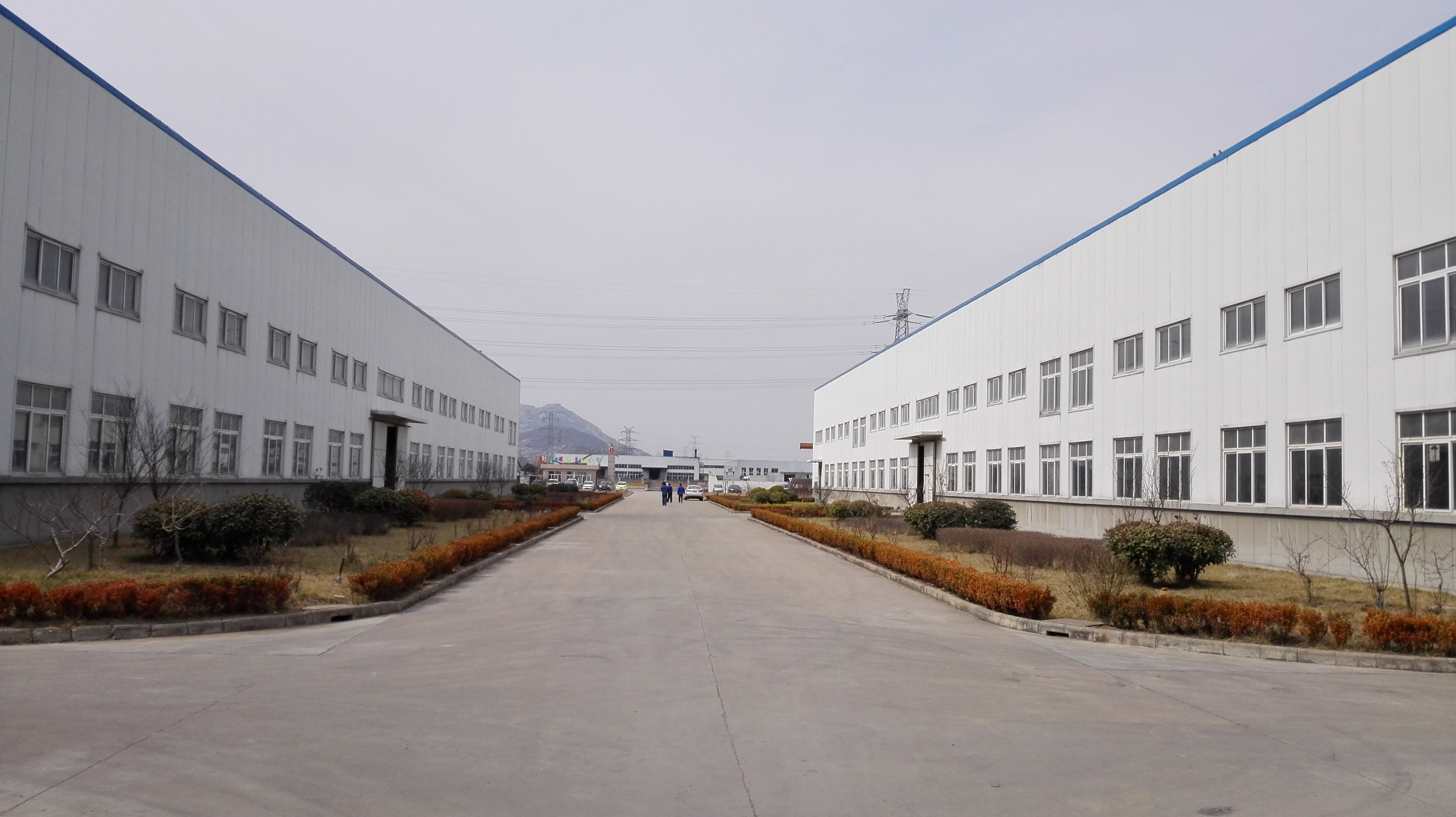 Lianyungang Lianlifusi Watch Co., Ltd. – Photos produits 3