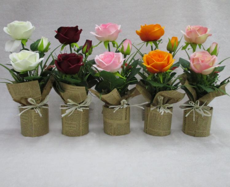 29#potted Rose