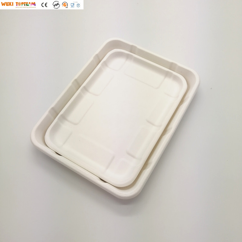 100% Biodegradable Disposable Sugarcane Tray