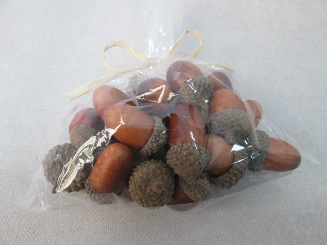 acorn
