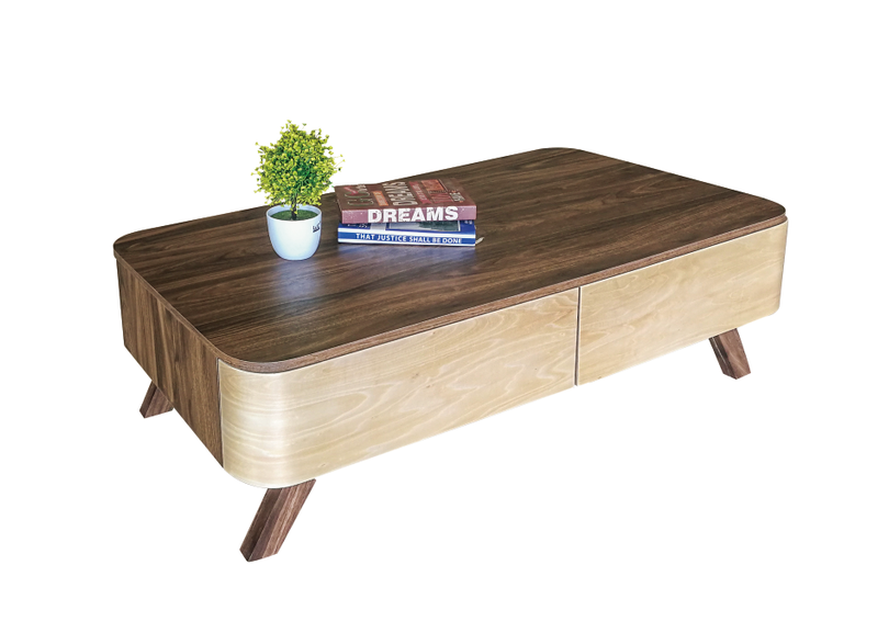 Modern Coffee Table