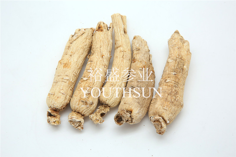 White Ginseng