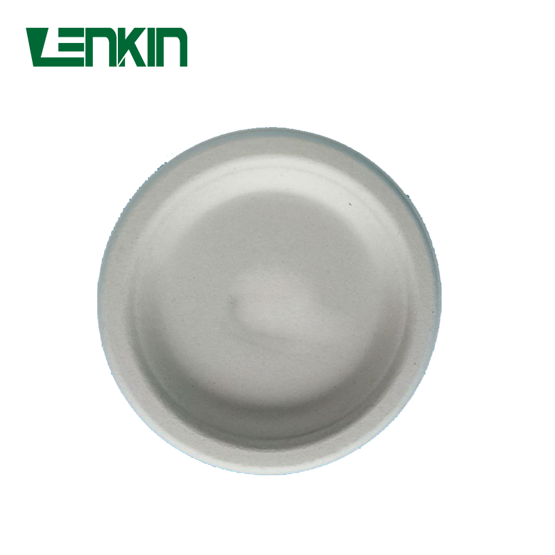 9 inch Round Plate