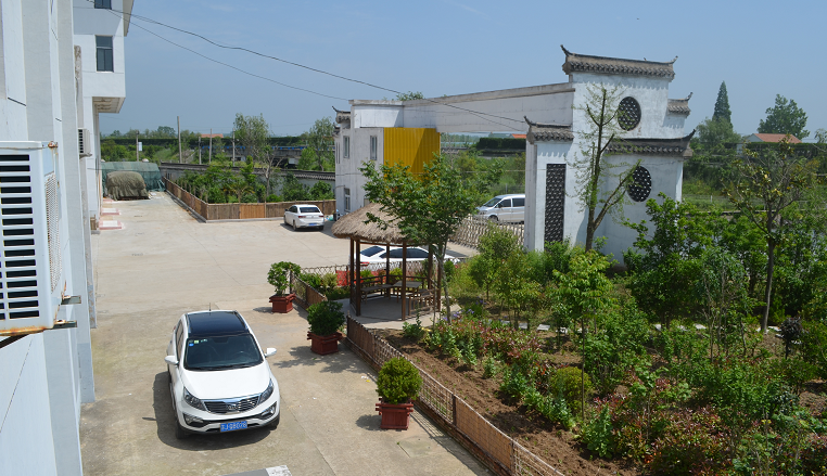 Liaoning Taoyuan Home Furnishing Co., Ltd. – wallpapers 3