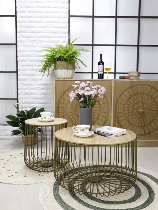 S/2 cage coffee table