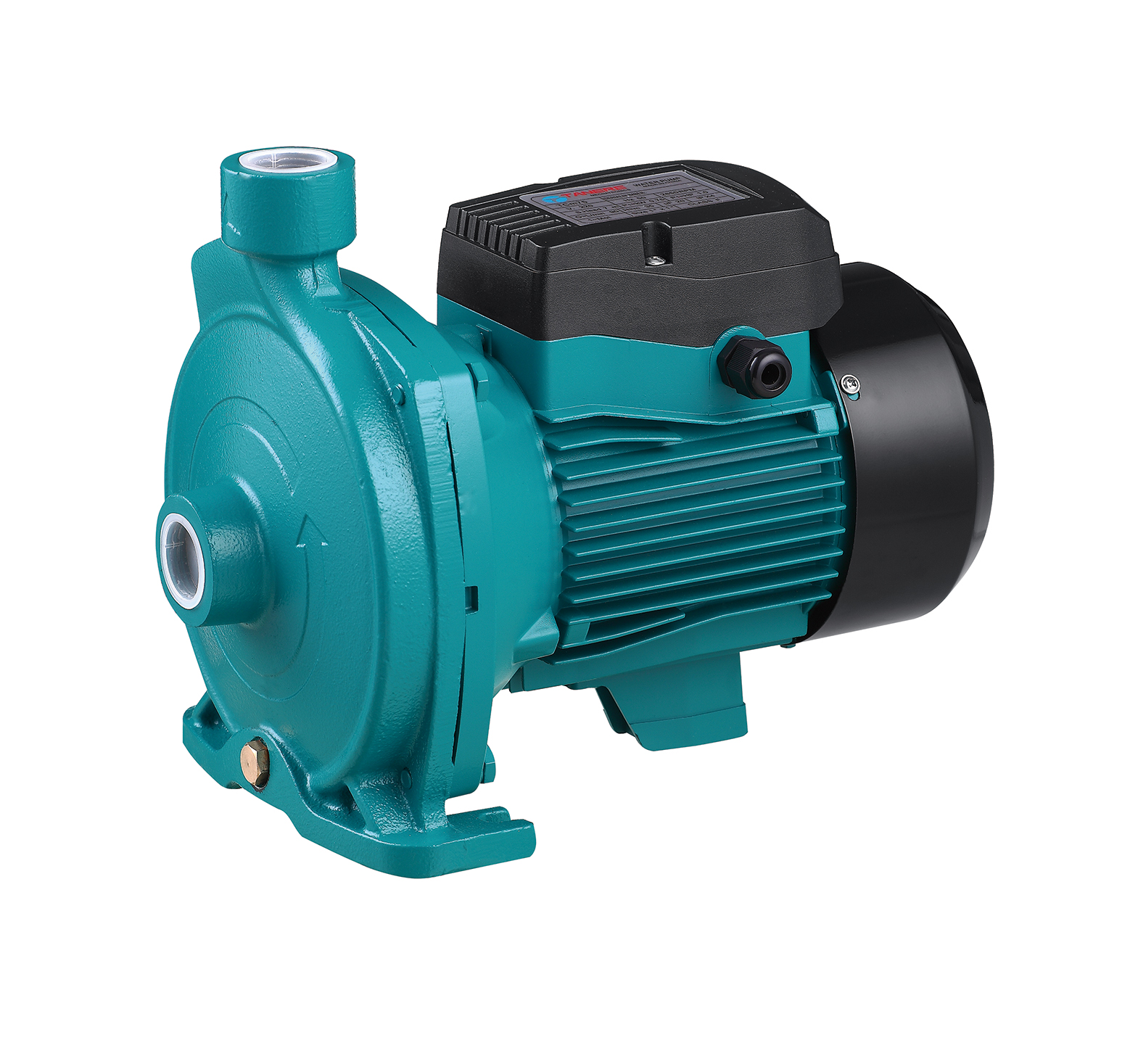 Centrifugal Pump