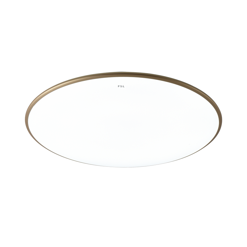 LED Ceiling Light