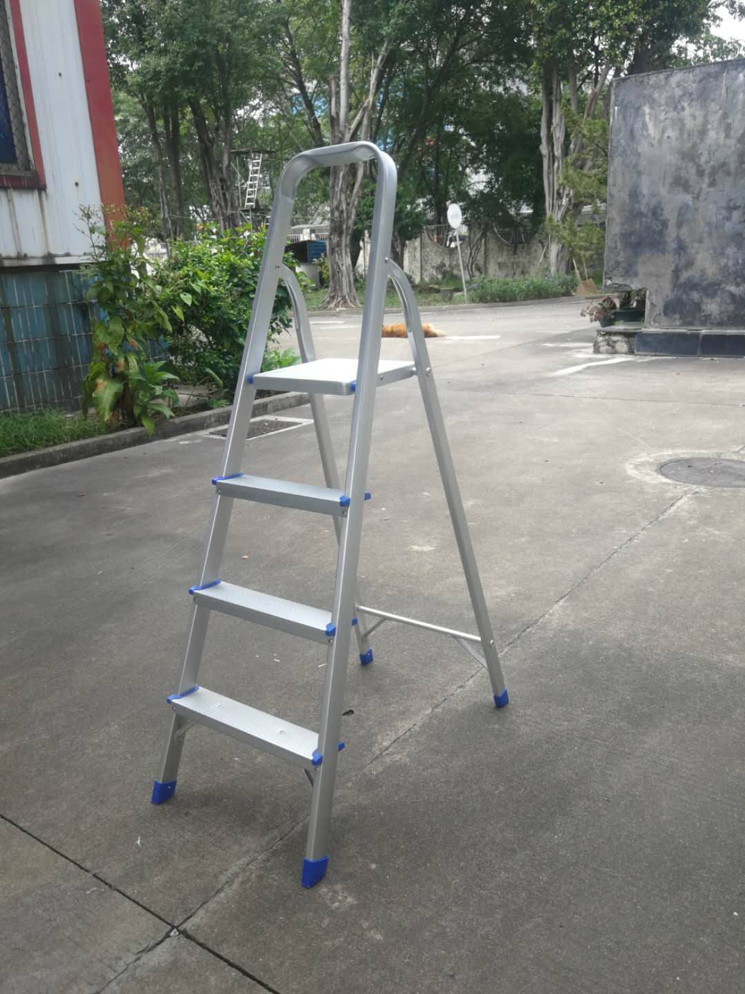 Goods-Stand Ladder
