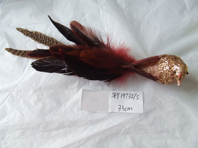 bird