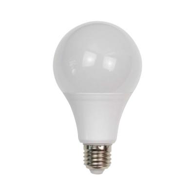 LED Bulb