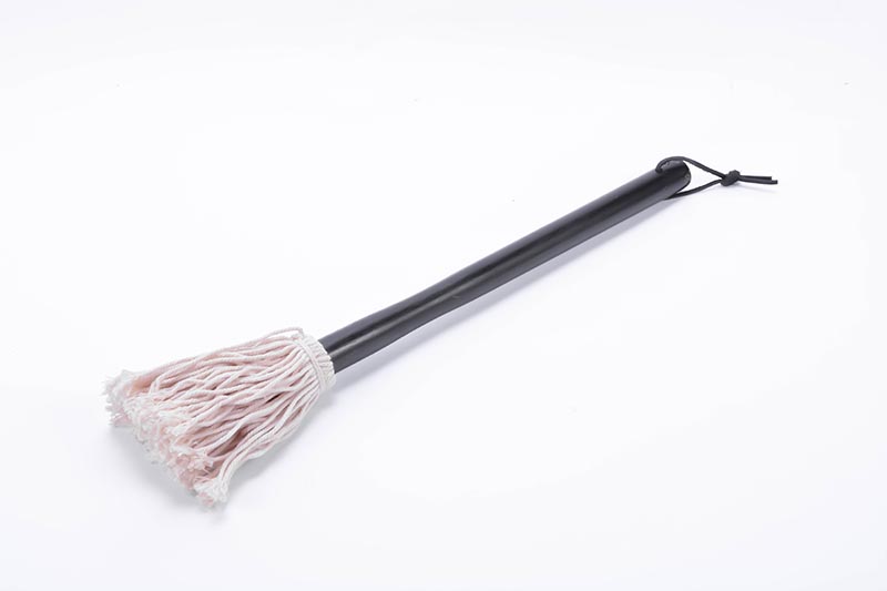 cleaning brush