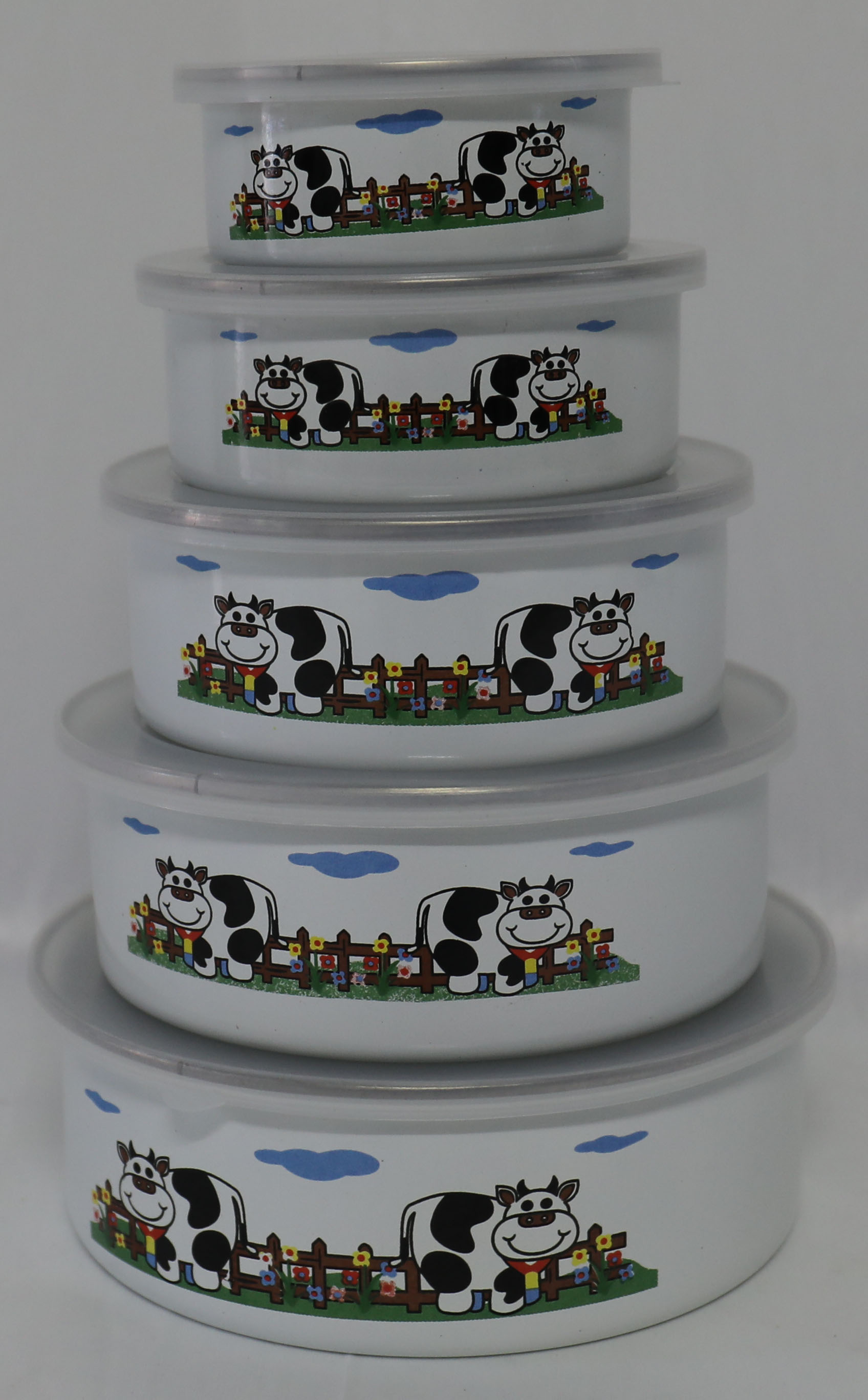 Enamel storage bowl
