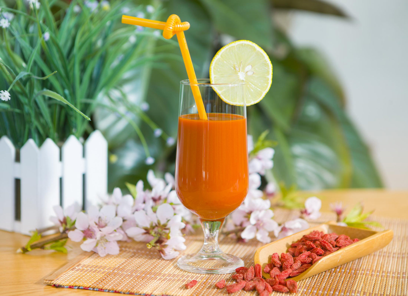 Ningxia Wolfberry Goji Industry Co., Ltd. – raqueta de tenis 2