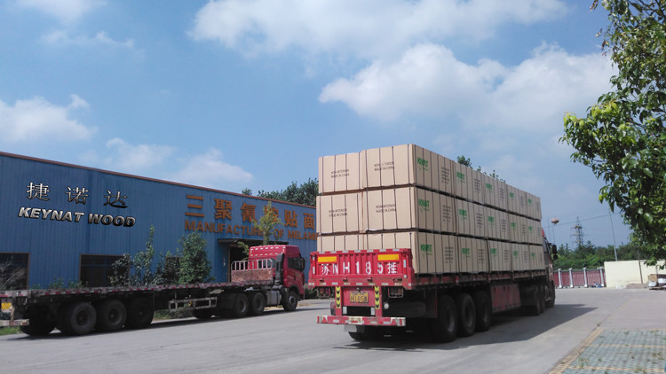 Shuyang Jienouda International Trading Co., Ltd. – Melamine board 1