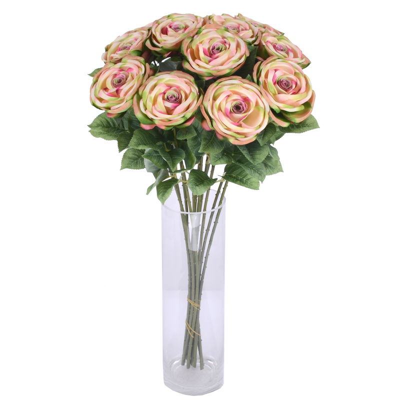 Single branch flower rose