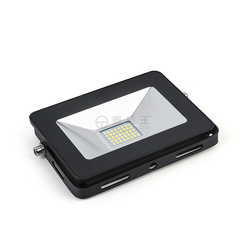 Flood Light-F20