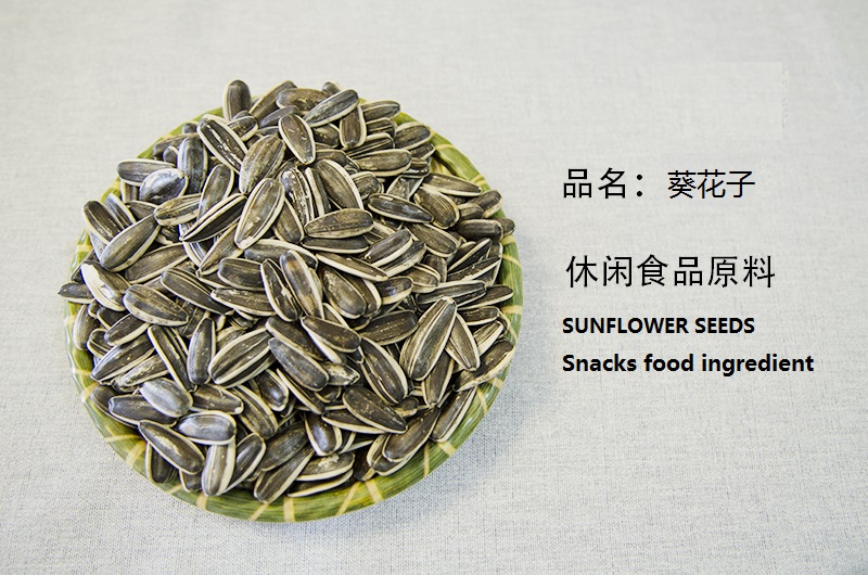 GANSU ZHONGSHIDA INTERNATIONAL TRADE CO., LTD. – raqueta de tenis 2