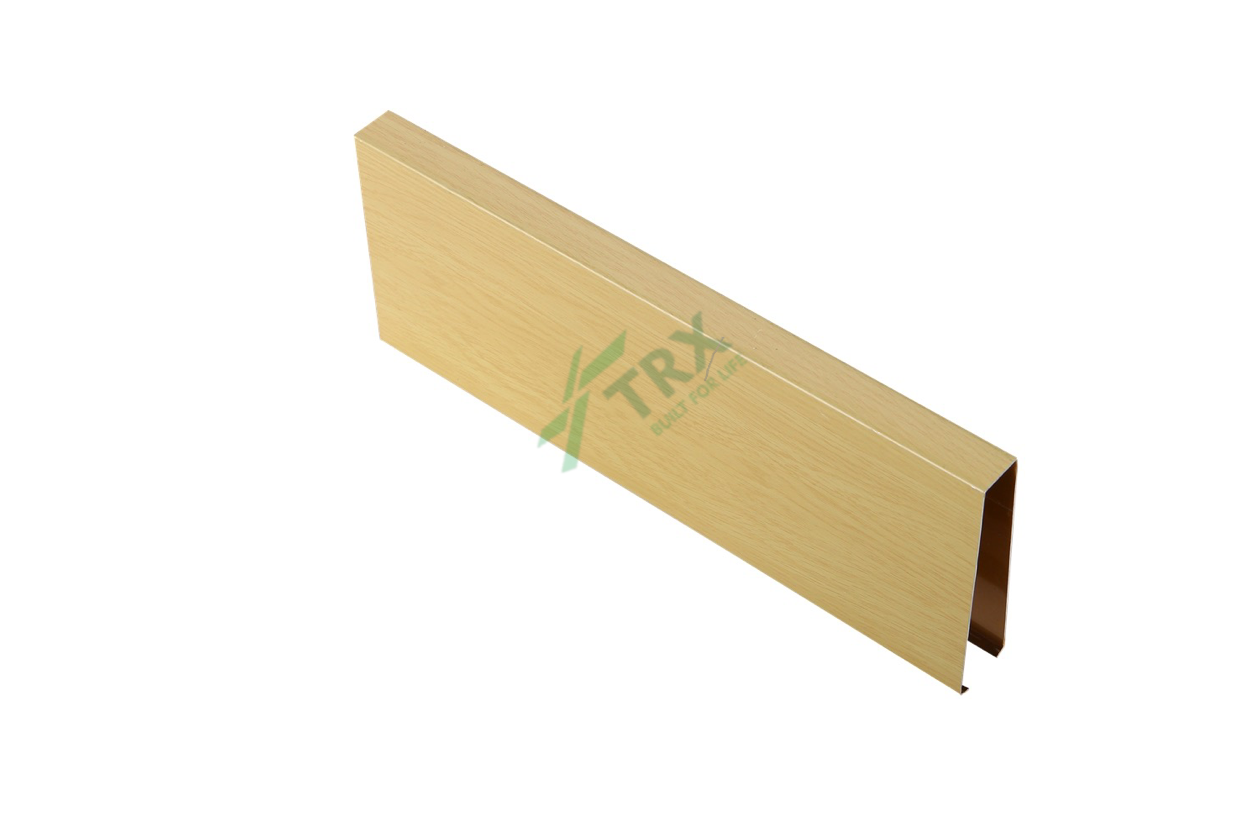 Baffle Ceiling