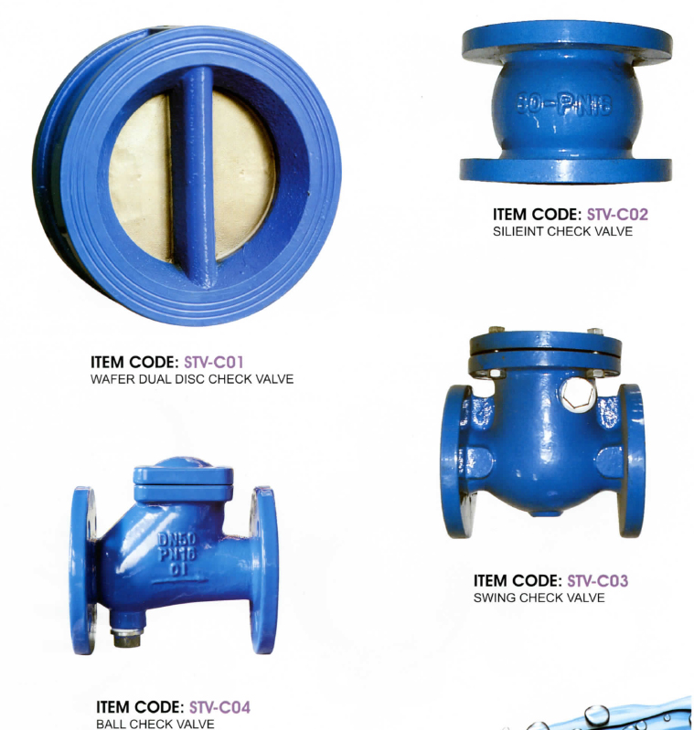 Check valve