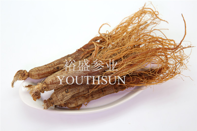 Red Ginseng Entire Roots