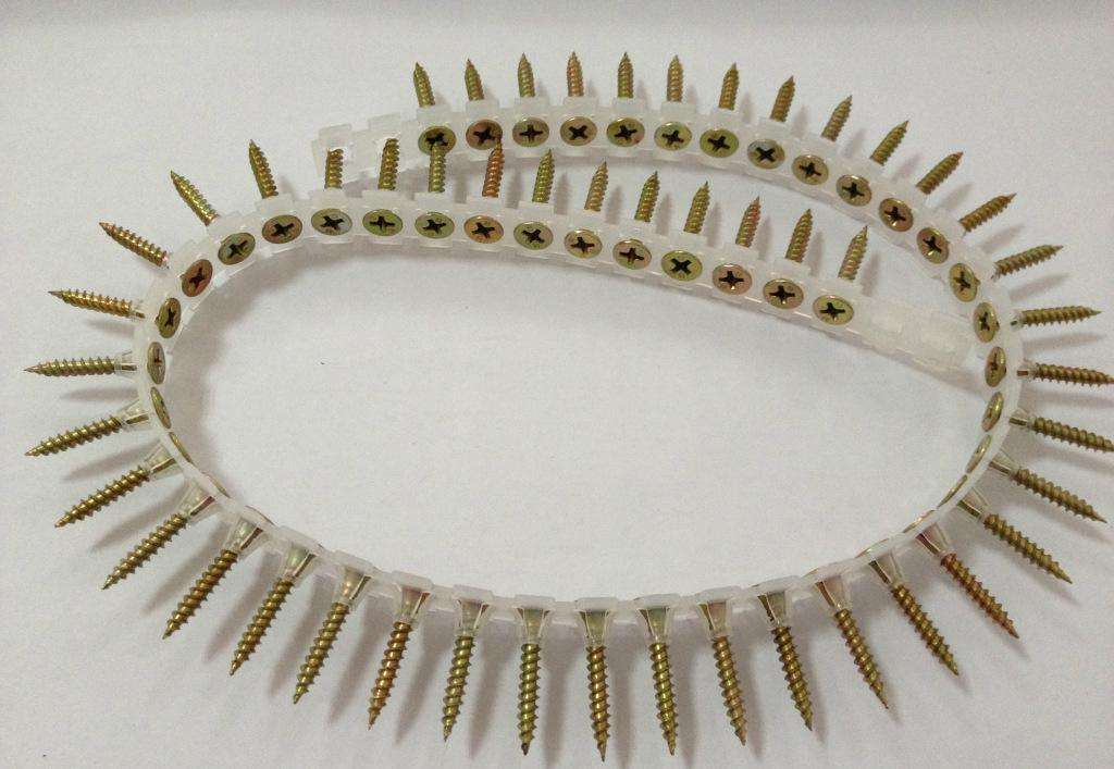 Collated Screw