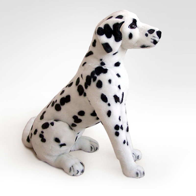 Sitting Dalmatian