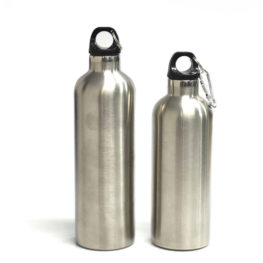 Sport bottle with handle
