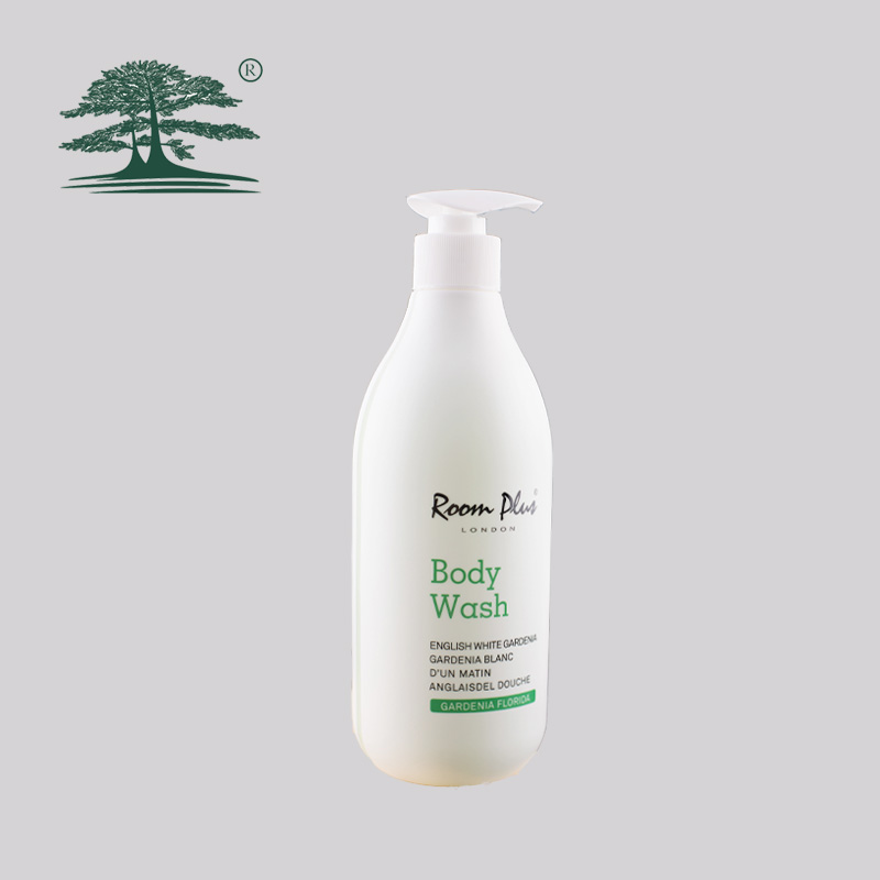 300ml dispenser