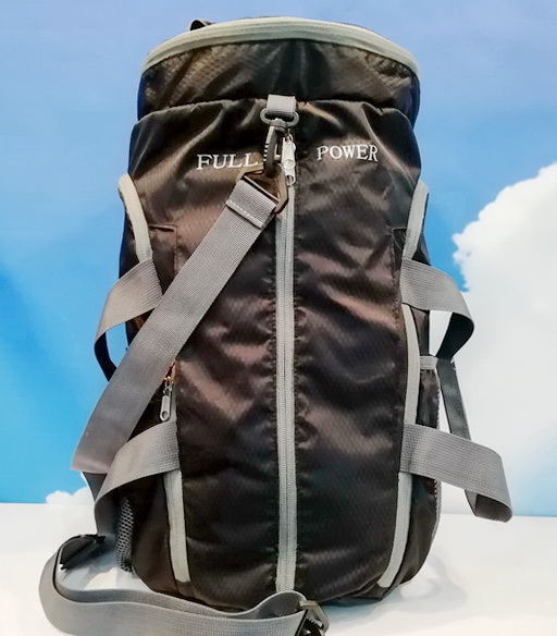 2-in-1 bag