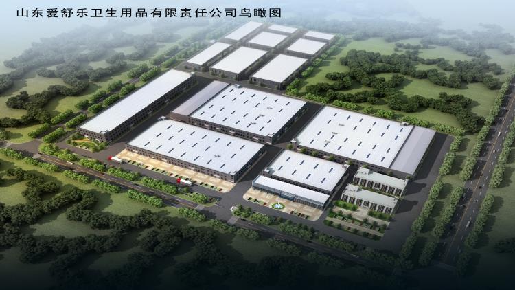 Shandong Jingxin Nonwoven Products Co., Ltd. – Adult diapers 1