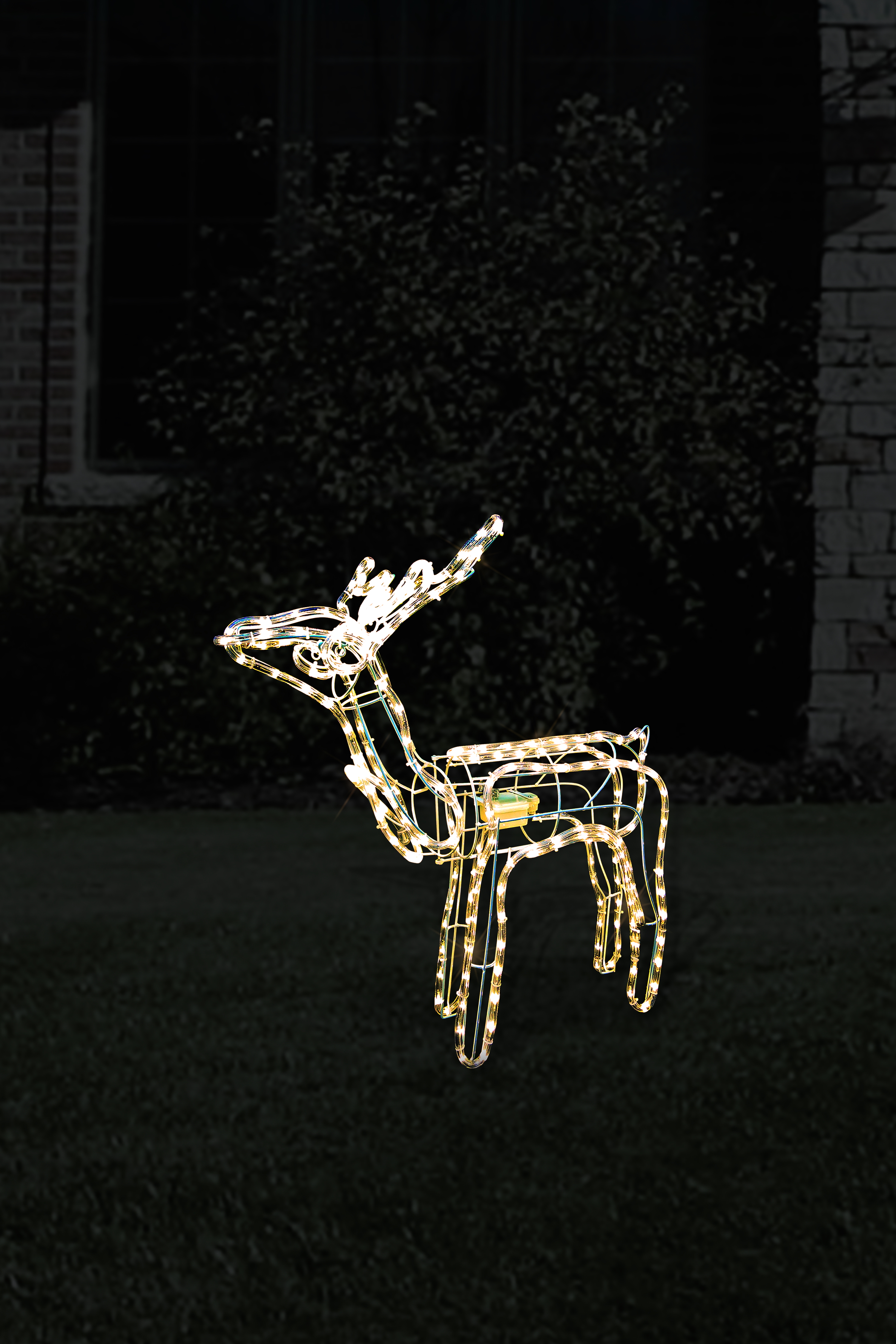 Standing Reindeer
