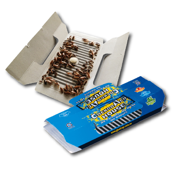 Adhesive Cockroach Glue Trap