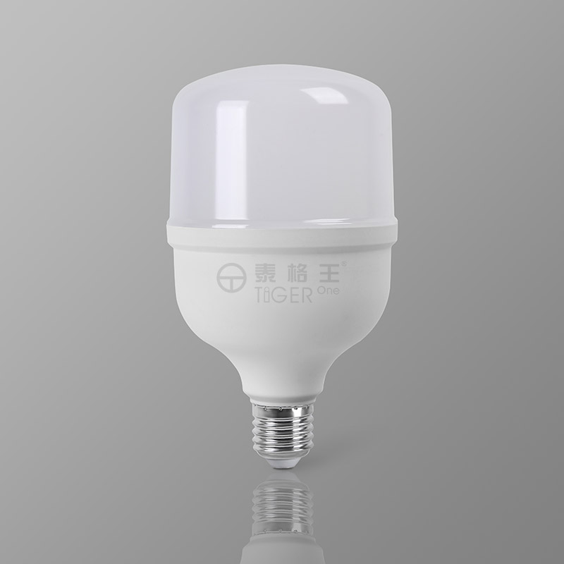 T100H-25W